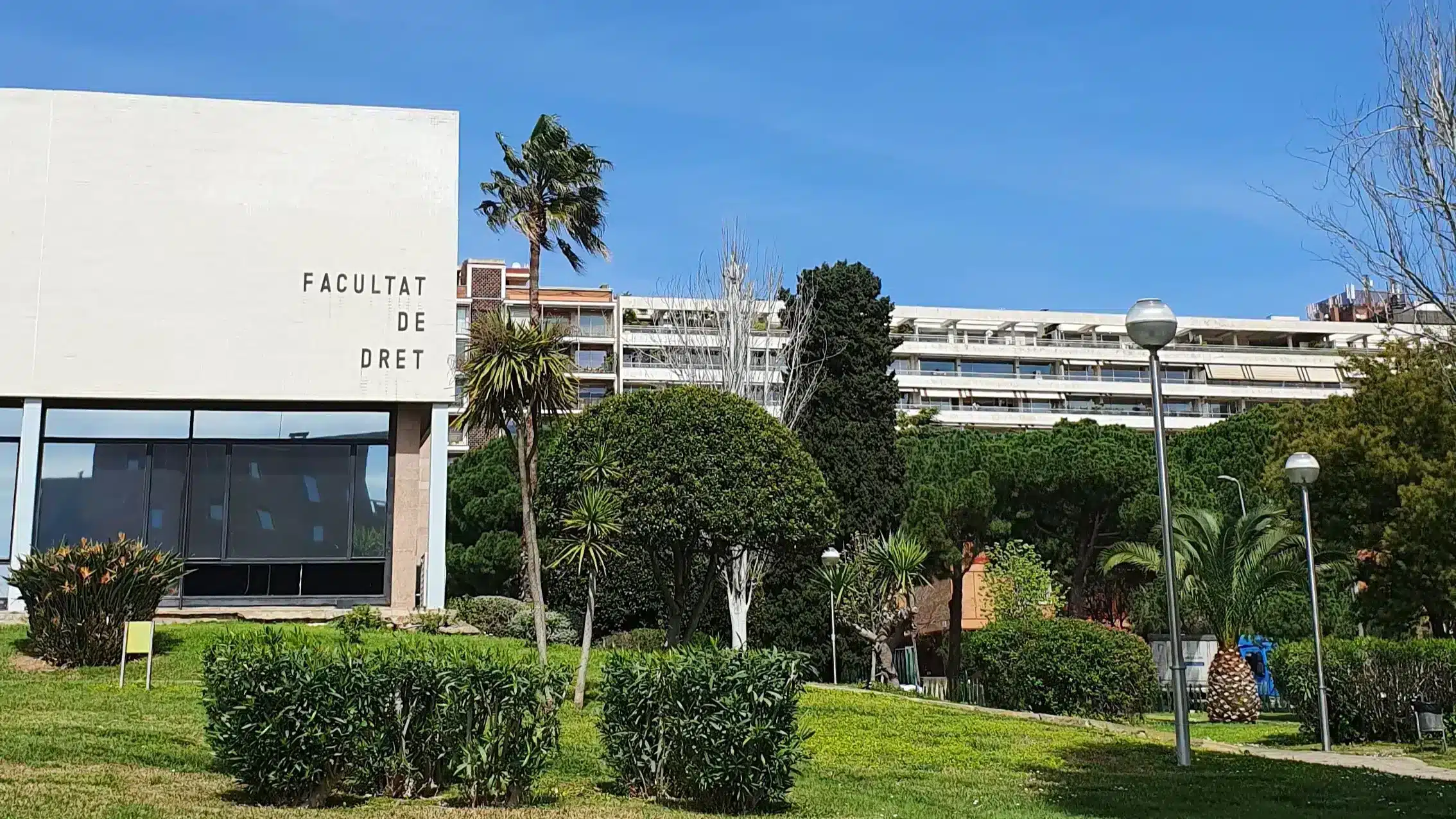 especializaciones en la abogacía